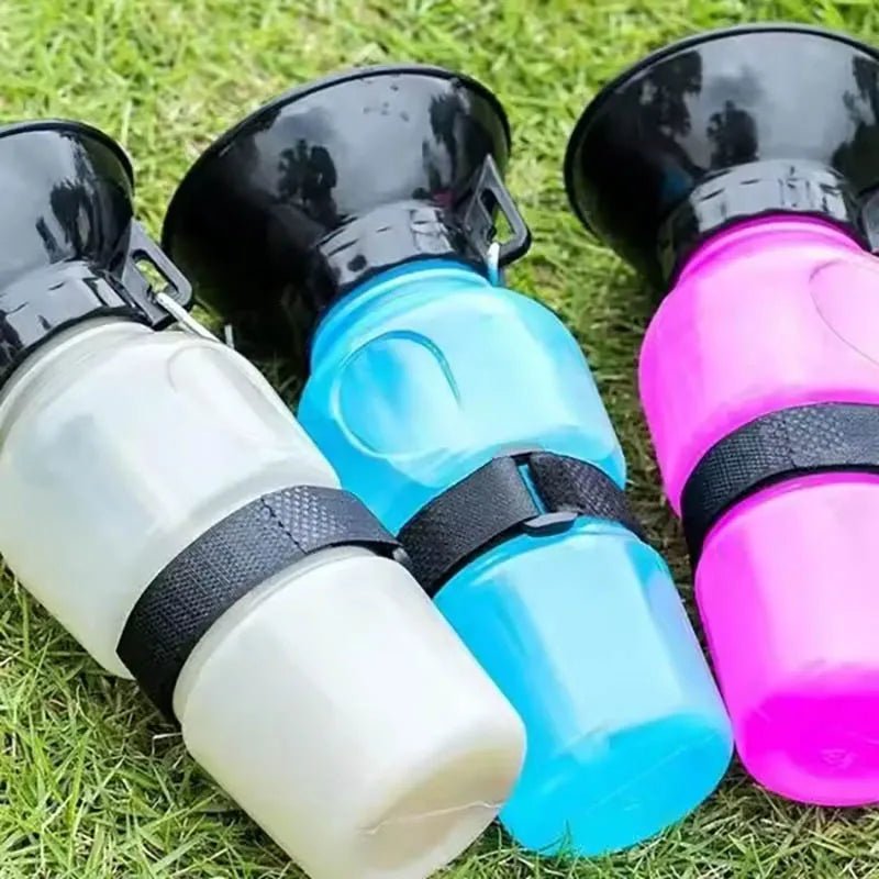 Gourde pour grand chien de couleurs différentes