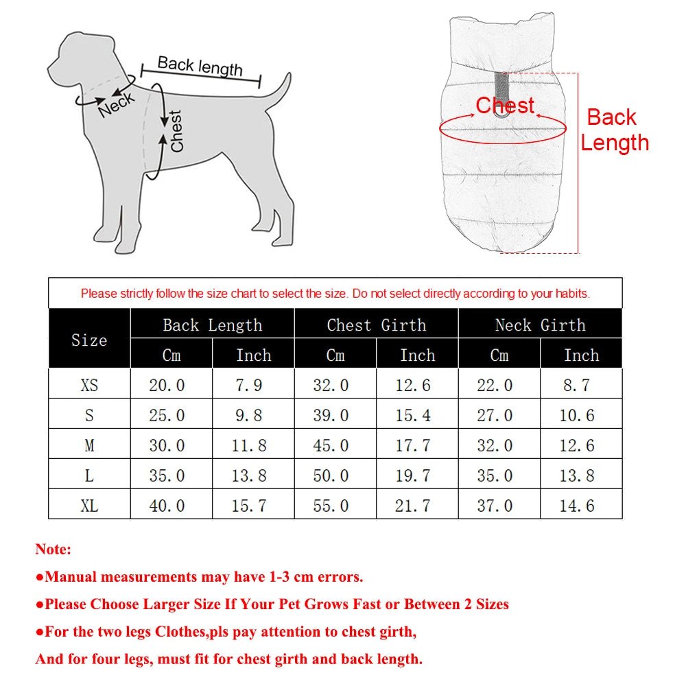 Dimensions total de la veste pour chihuahua dans un tableau. Image produit Boutiquechien