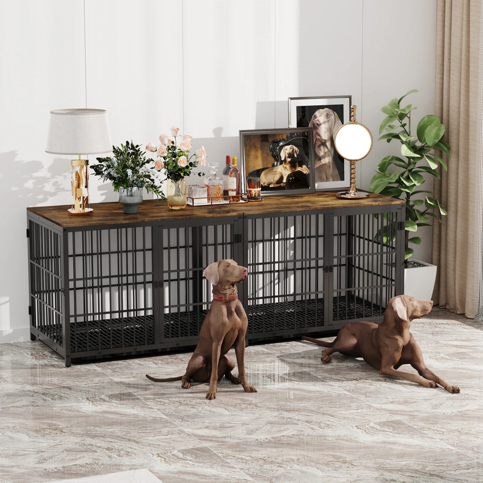 grande cage de couleur noir en forme de meuble avec sur le côté une plante verte et deux chiens posé devant. Image produit Boutiquechien Image