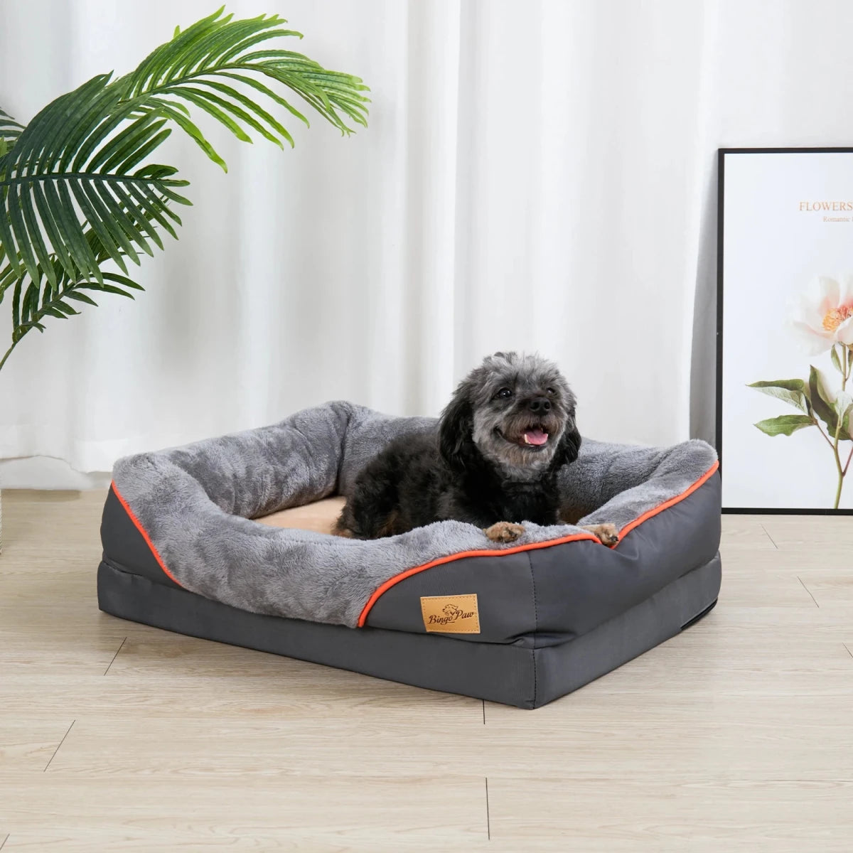 Petit chien de couleur noir couché dans son panier chien de couleur avec en fond un tableau et une plante verte. Image produit boutiquechien