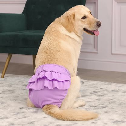 Gros chien de couleur blanc portant une culotte pour chien de couleur rose en forme de tutu. Le chien est assis sur un tapis de couleur blanc avec en fond une chaise verte. Image produit Boutiquechien 