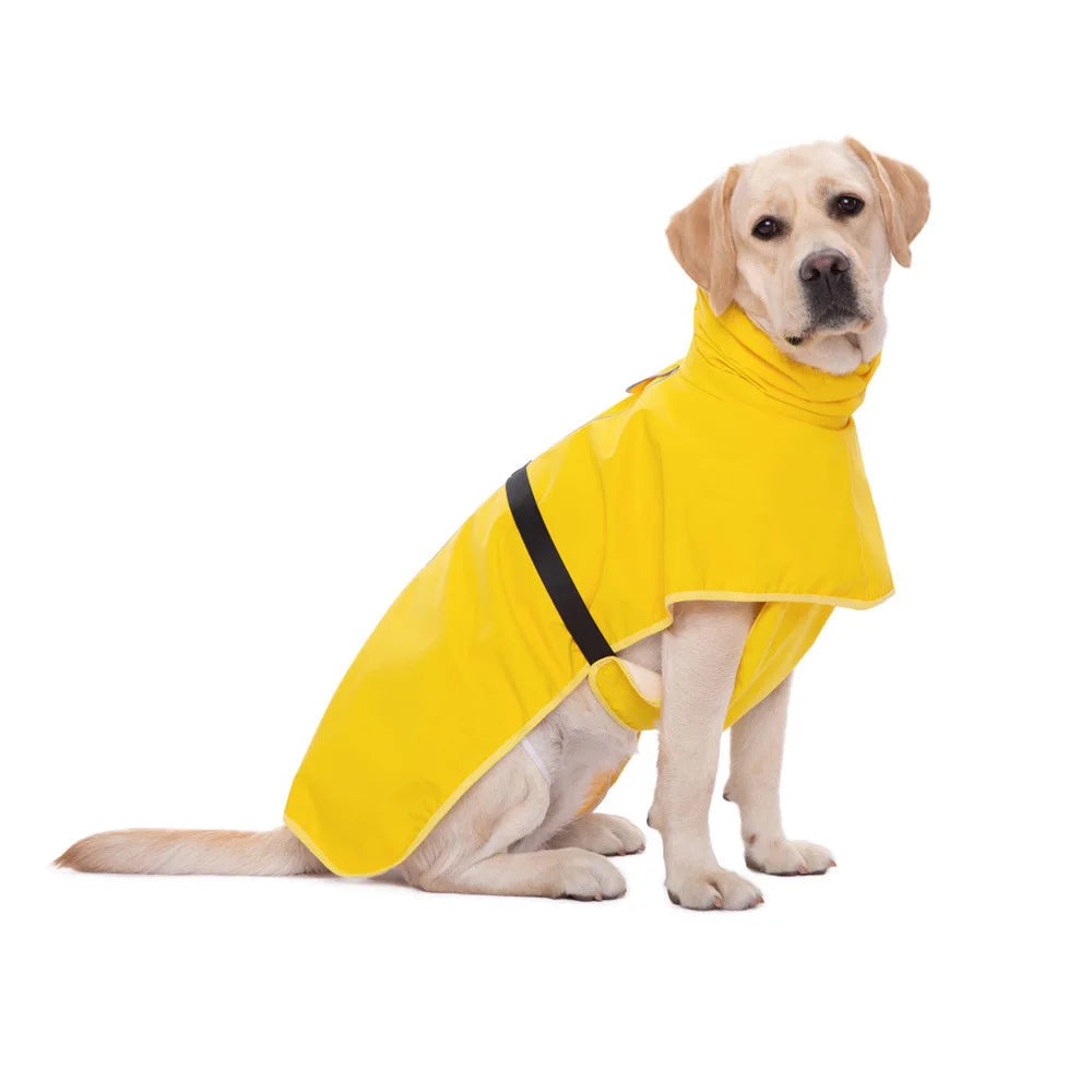 Gors chien de couleur claire portant un imper pour chien de couleur jaune avec une bande noir. Image produit Boutiquechien