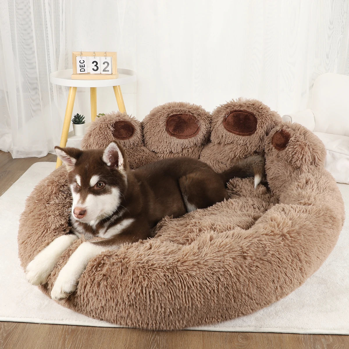 Chiot de taille moyenne de couleur brun et blanc couché dans un panier pour chien en forme de patte. Image produit Boutiquechien Image