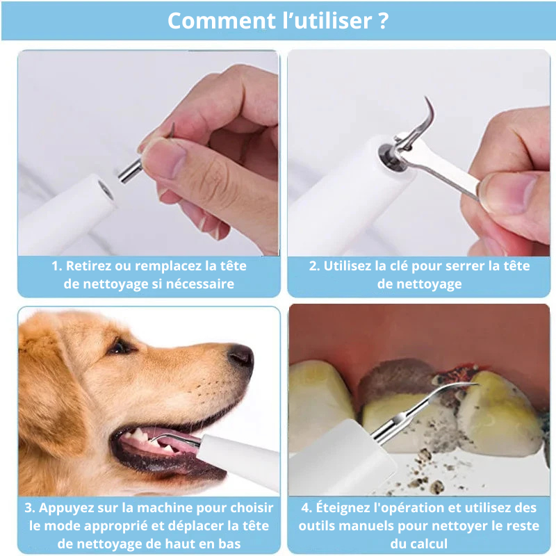 guide d'utilisation détaillé de la brosse anti tartre de couleur blanc. Produit parfait pour nettoyer les dents de son chien. Image produit Boutiquechien