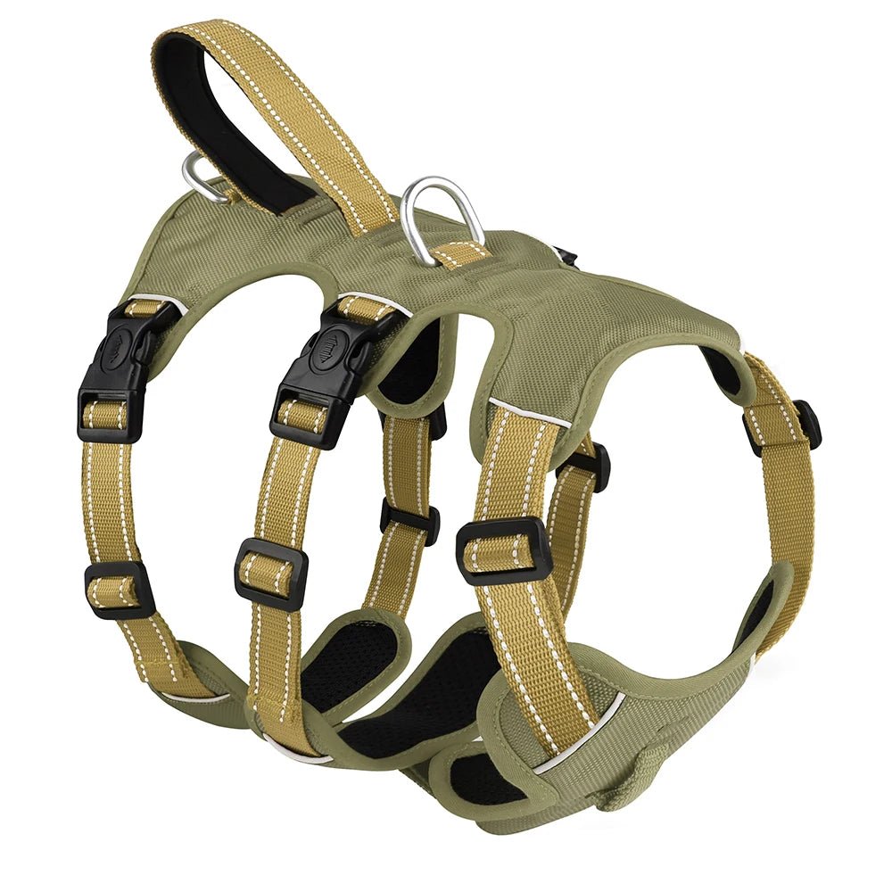 Harnais 3 point chien vert