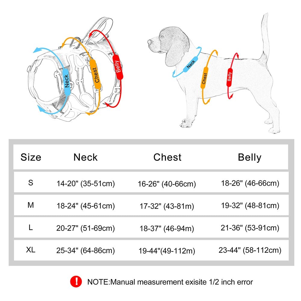 Harnais 3 point chien dimensions