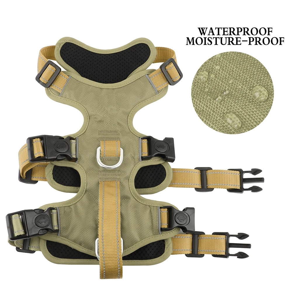 Harnais 3 point chien waterproof