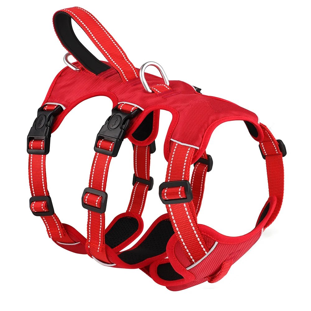 Harnais 3 point chien rouge