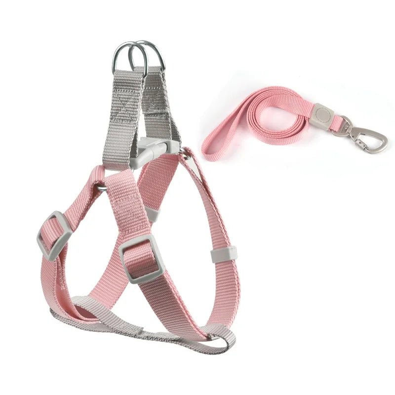 Harnais pour petit chien de couleur rose et gris avec une laisse assortie pour petit chien. Image produit Boutiquechien 