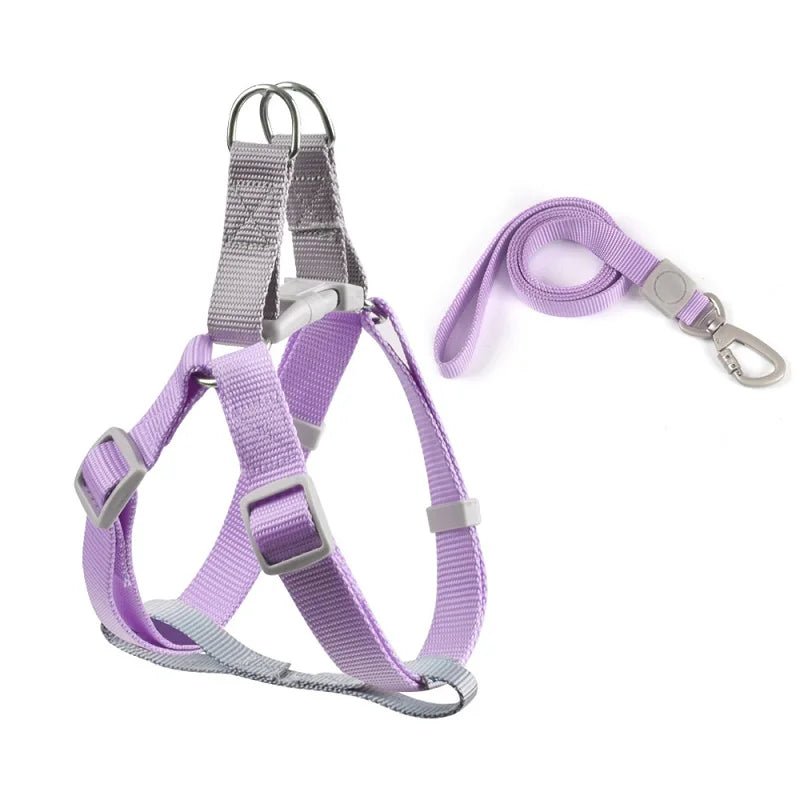 Harnais pour petit chien de couleur rose et gris avec une laisse assortie pour petit chien. Image produit Boutiquechien 