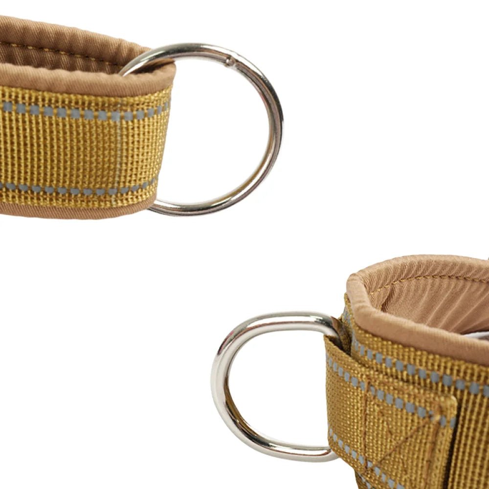 Harnais anti traction agissant sur poitrail du chien mousqueton
