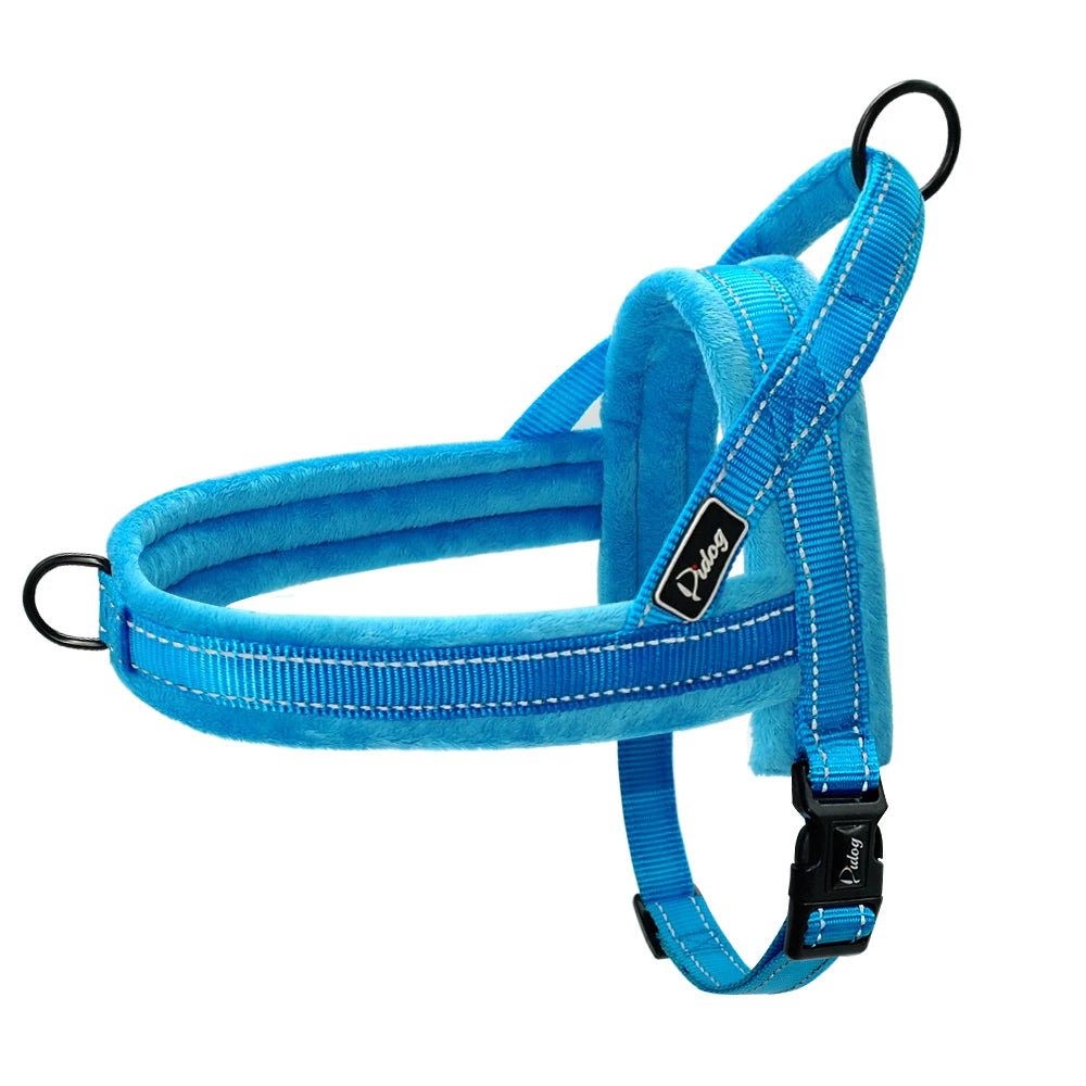 Harnais anti traction chien education bleu