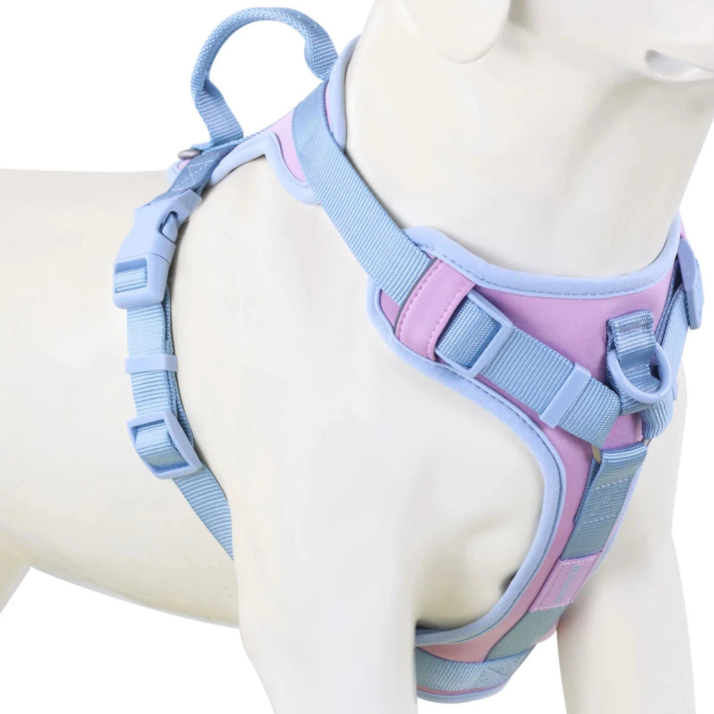 Harnais anti traction chien qui tire bleu et rose