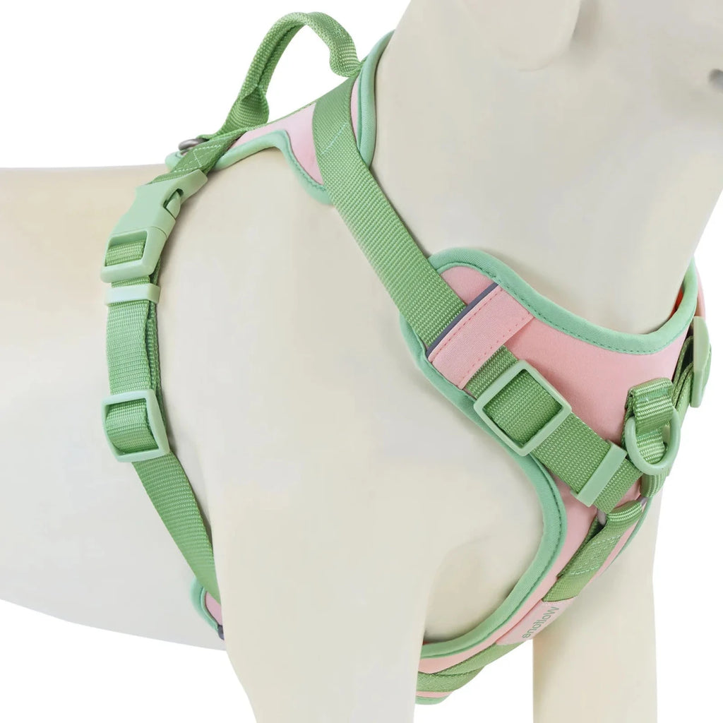 Harnais anti traction chien qui tire vert claire et rose 