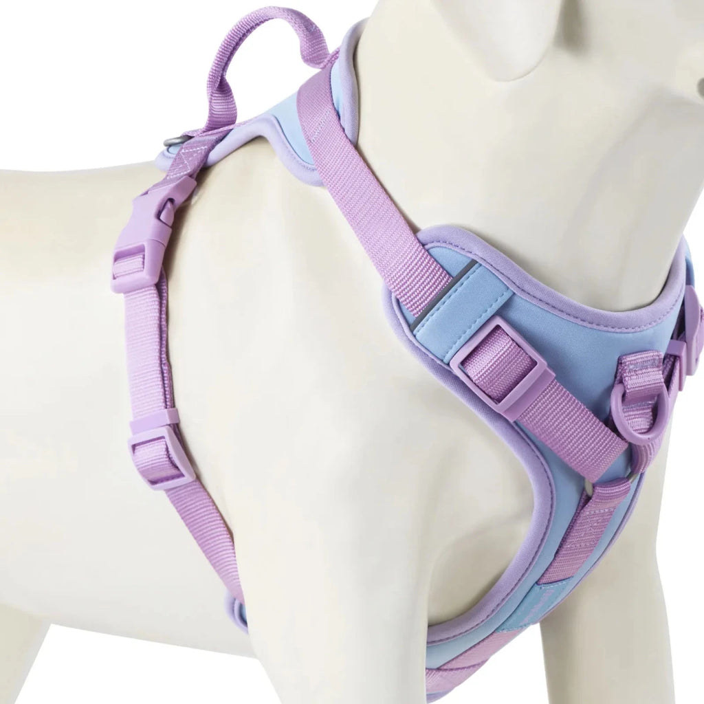 Harnais anti traction chien qui tire violet et bleu