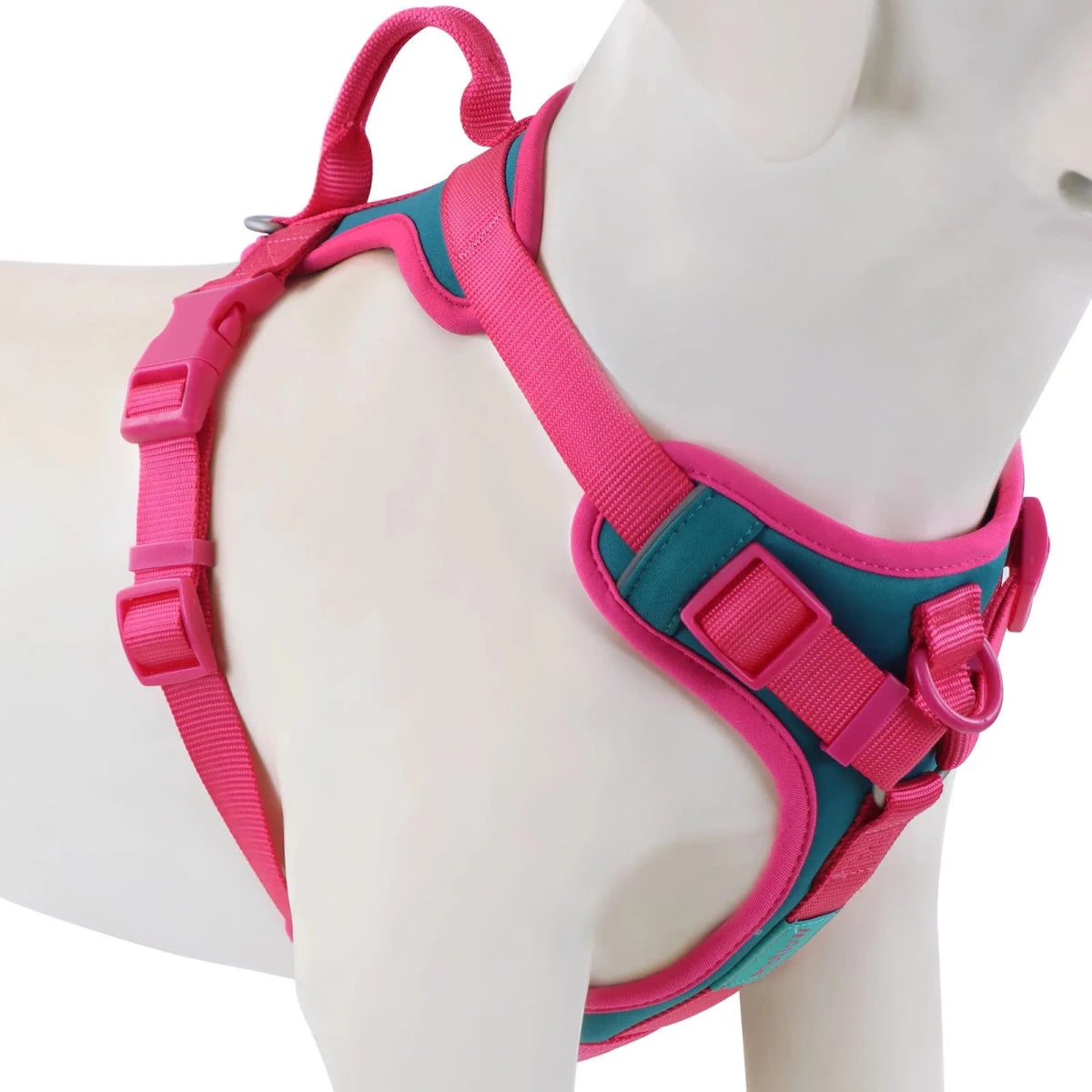 Harnais anti traction chien qui tire rose fonce
