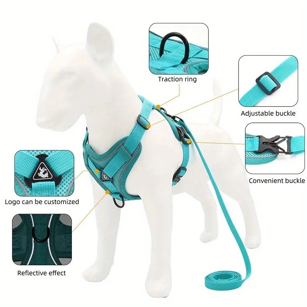 Harnais anti traction petit chien avantages et caractéristiques 