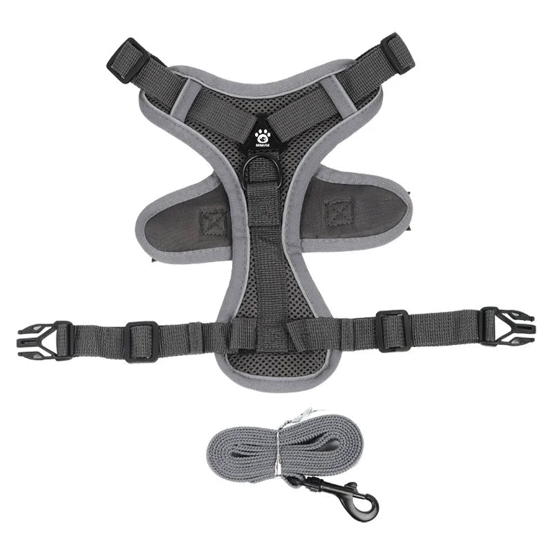Harnais anti traction petit chien gris