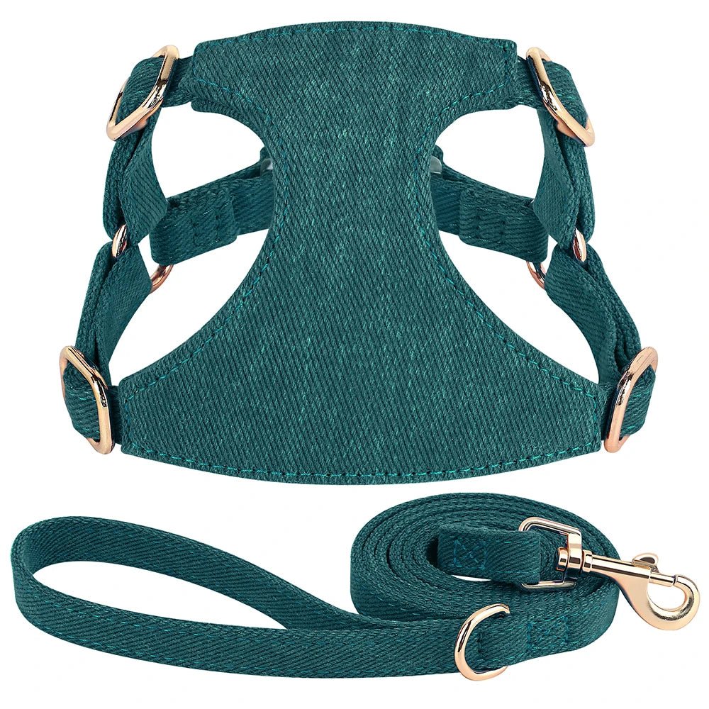 Harnais petit chien de couleur vert durable et résistant avec laisse pour chien durable et résistant pour chien. Image produit Boutiquechien 
