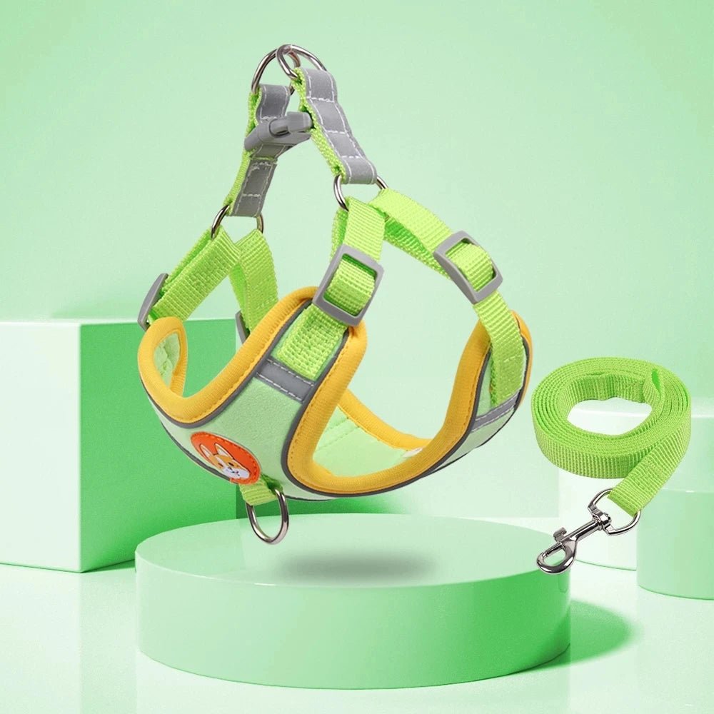 Harnais chiot de couleur vert claire avec laisse assortie. Image produit Boutiquechien