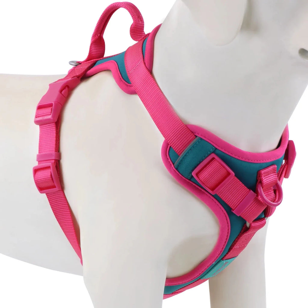 Harnais pour chien de couleur rose et turquoise durable et résistant pour les grands chiens. Image produit Boutiquechien