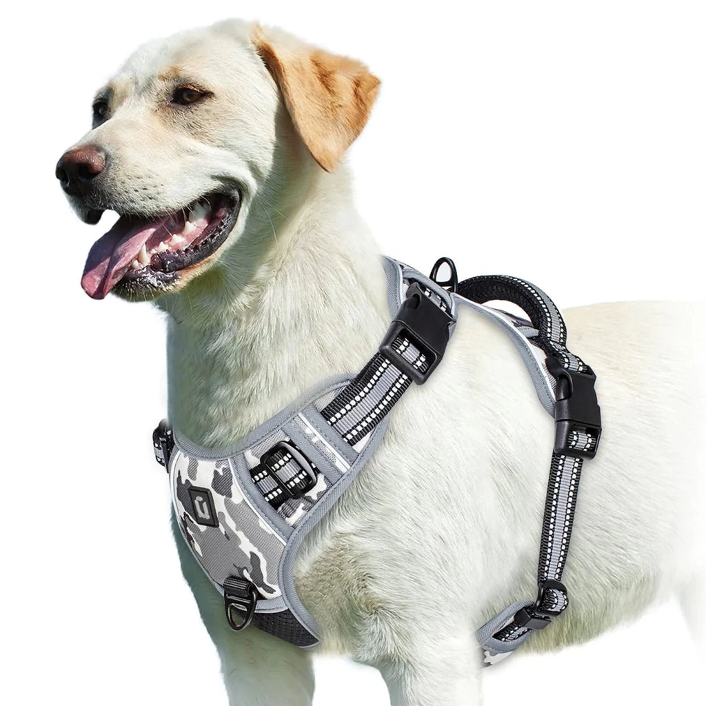 Harnais bouclier pour gros chien de couleur gris camouflage de boutiquechien sur un gros golden retriever de couleur blanc