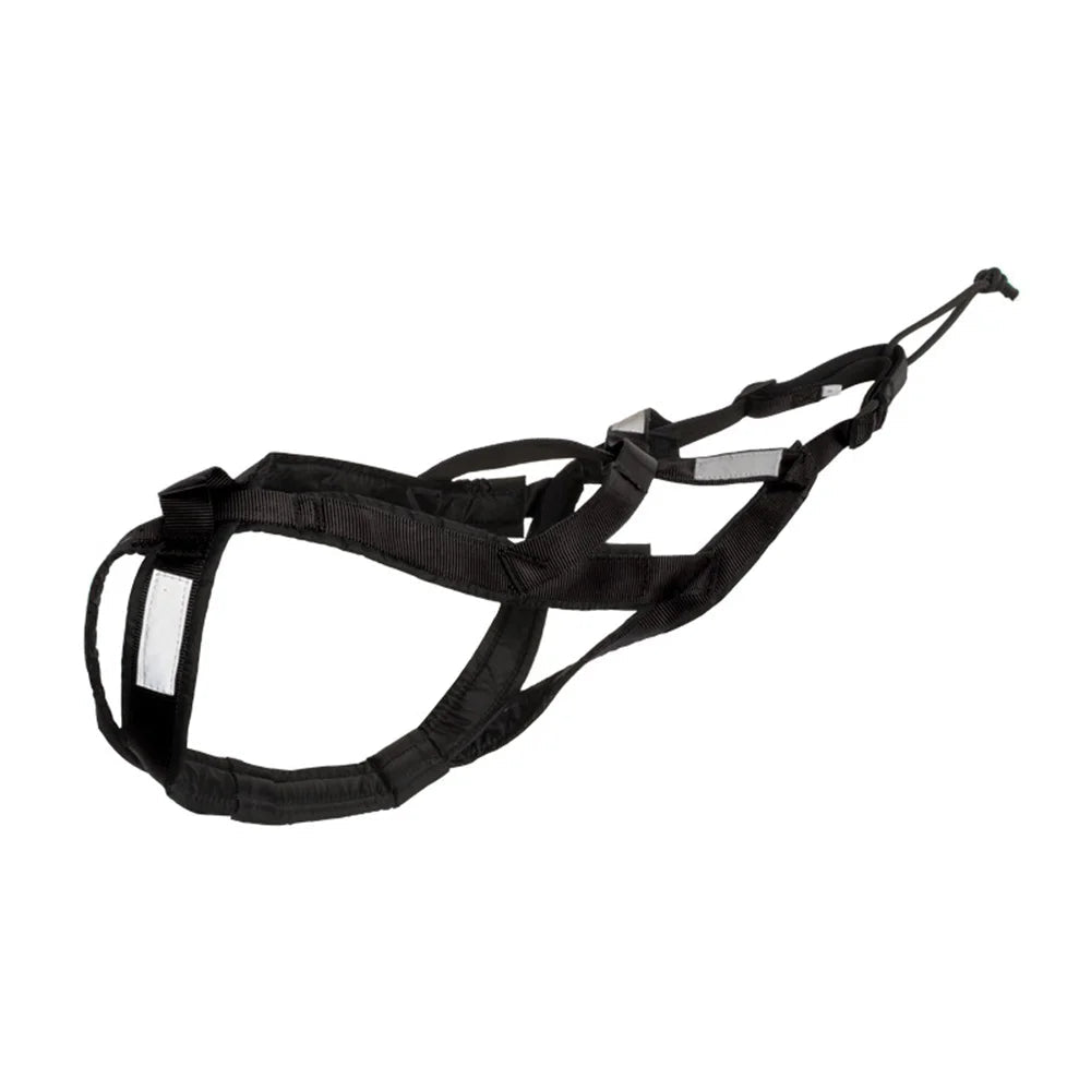 Harnais canicross beauceron noir