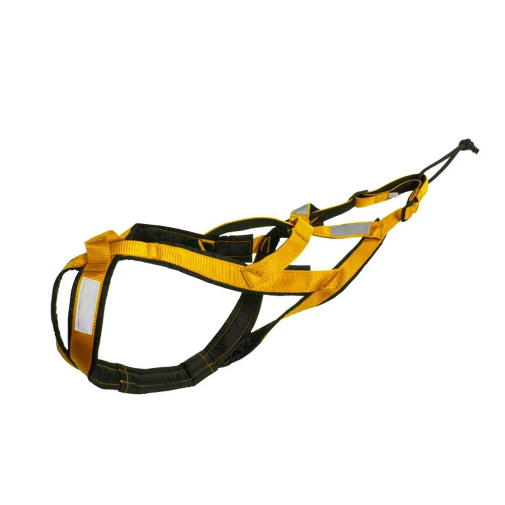 Harnais canicross berger allemand jaune