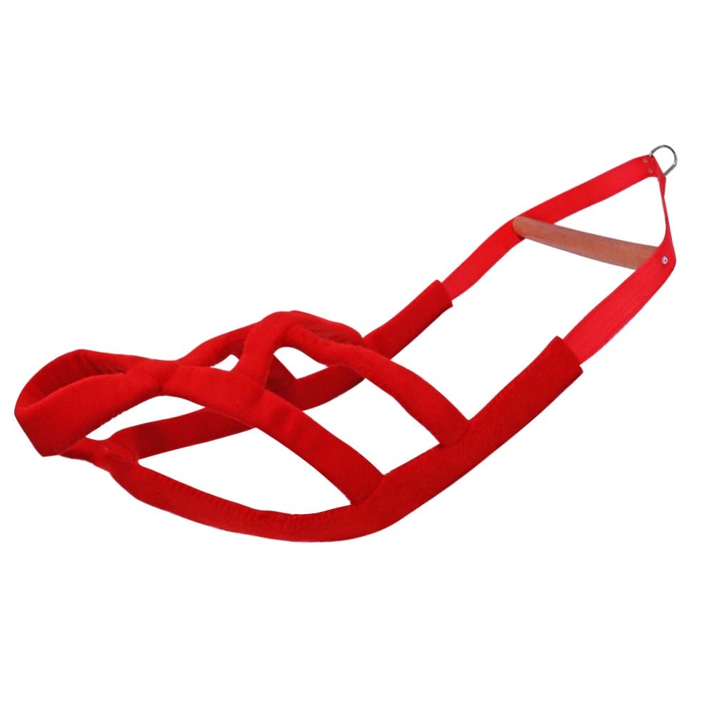 Harnais canicross boxer rouge