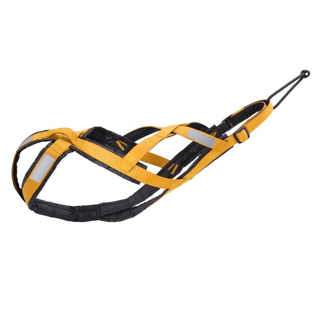 Harnais canicross jaune pour chien fais en nylon résistant. Image produit Boutiquechien