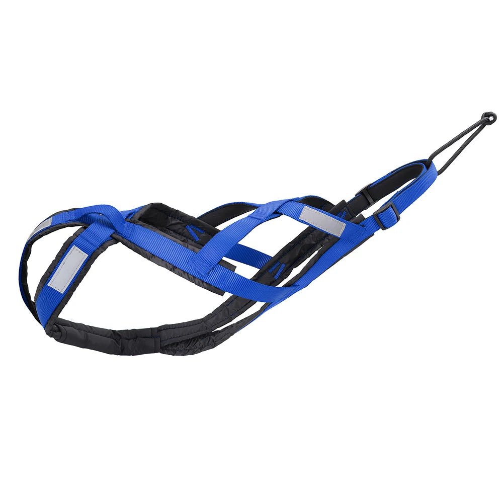 Harnais canicross bleu pour chien en nylon résistant 