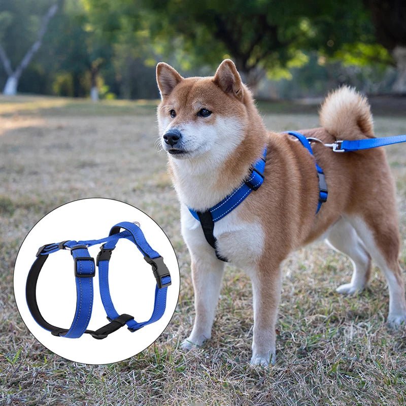 Harnais chien anti traction en y avec un chien le portant 