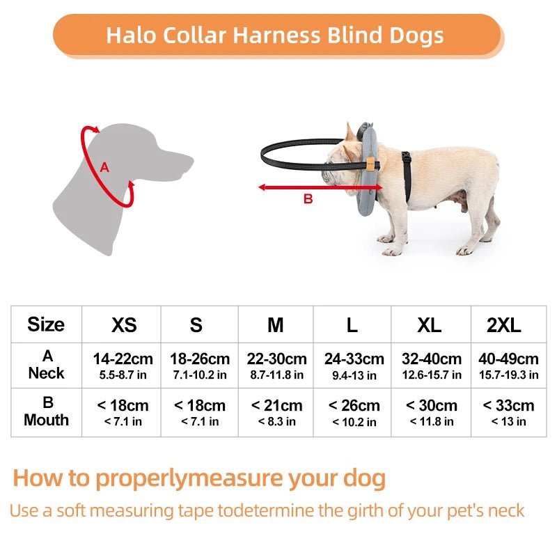 Harnais chien aveugle dimensions