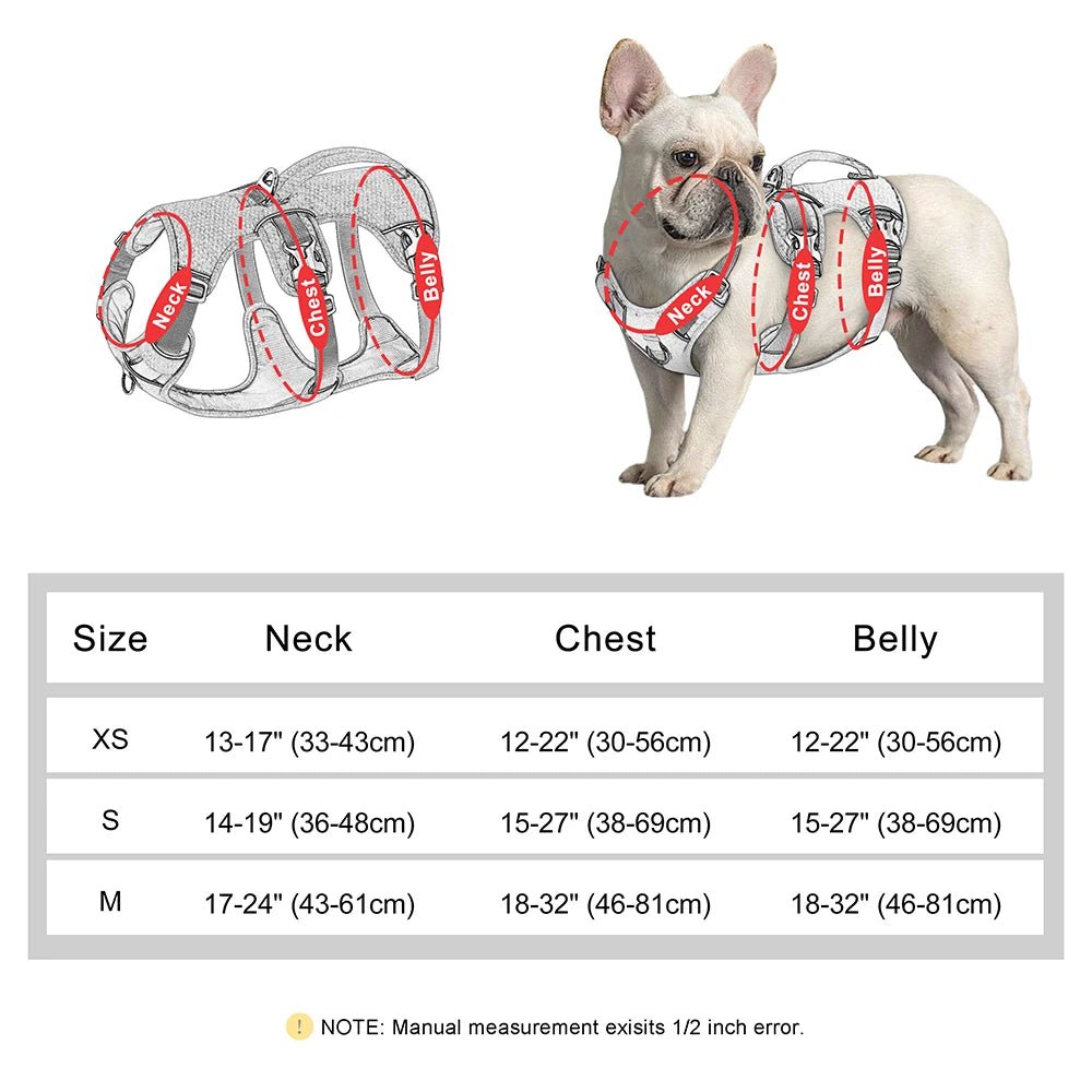 Harnais chien avis veterinaire dimensions 