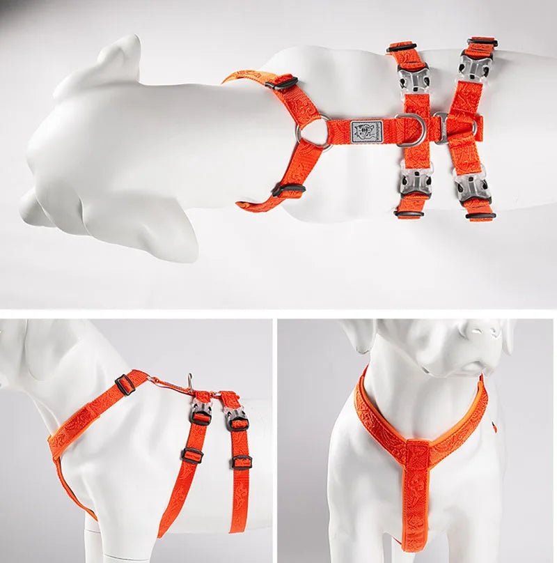 Harnais chien berger allemand avec toutes les vues du produit 