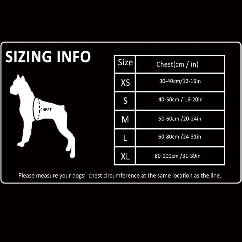Harnais chien berger allemand avec les dimensions total du harnais chien