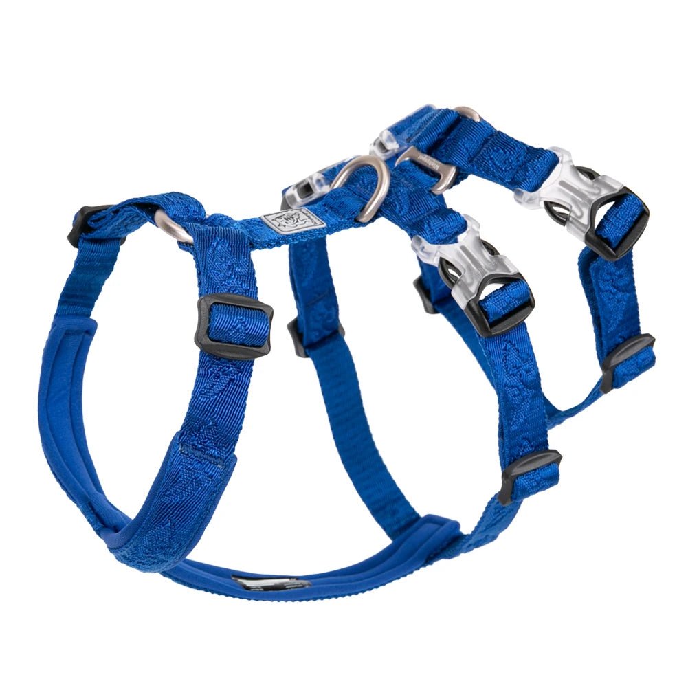 Harnais chien berger allemand de couleur bleu de boutiquechien