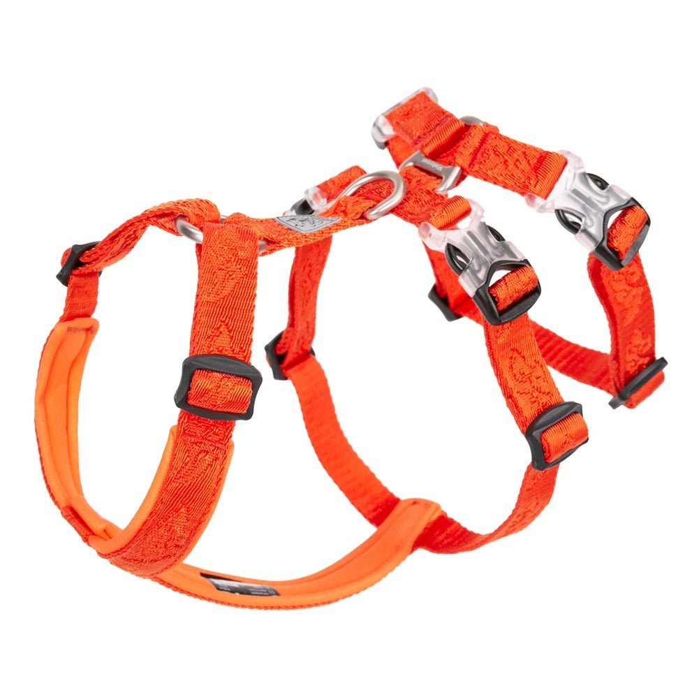 Harnais chien berger australien de couleur orange avec des attaches multiples