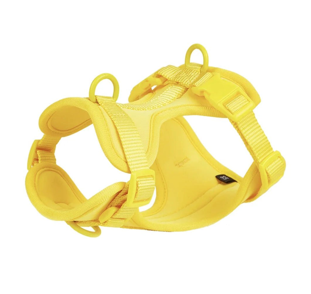 Harnais chien biothane jaune 