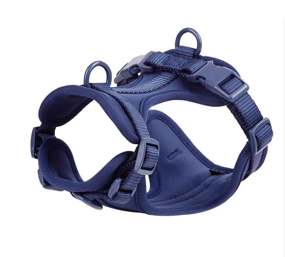 Harnais chien biothane bleu fonce 