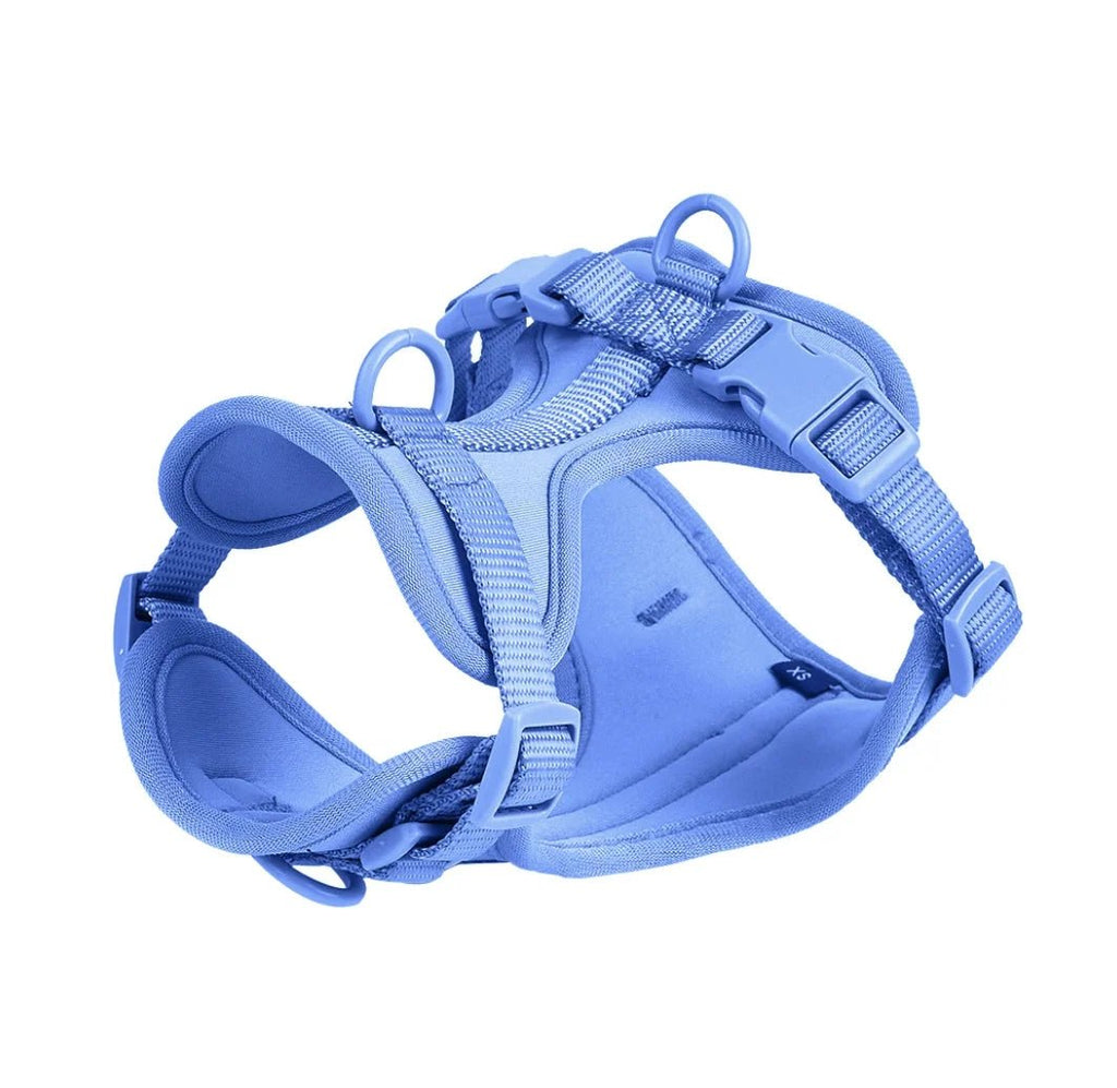Harnais chien biothane bleu claire 