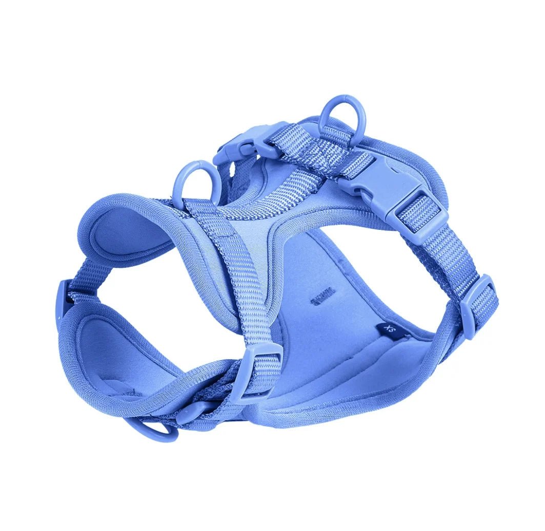 Harnais chien biothane bleu claire 