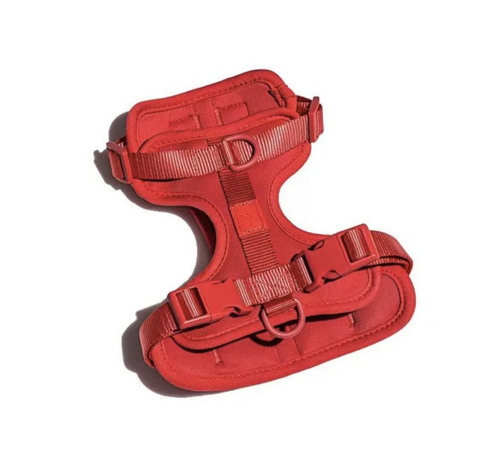 Harnais chien biothane rouge 