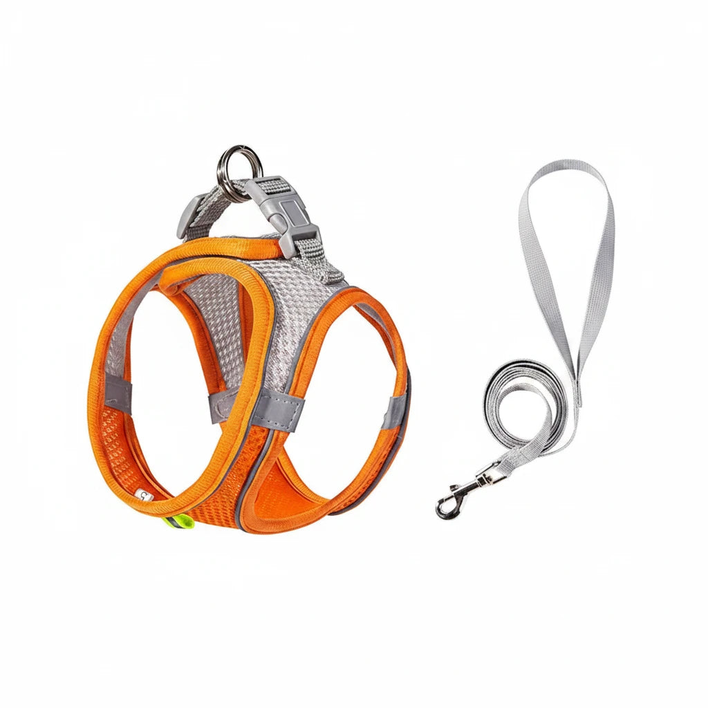 Harnais chien curli dimensions orange 
