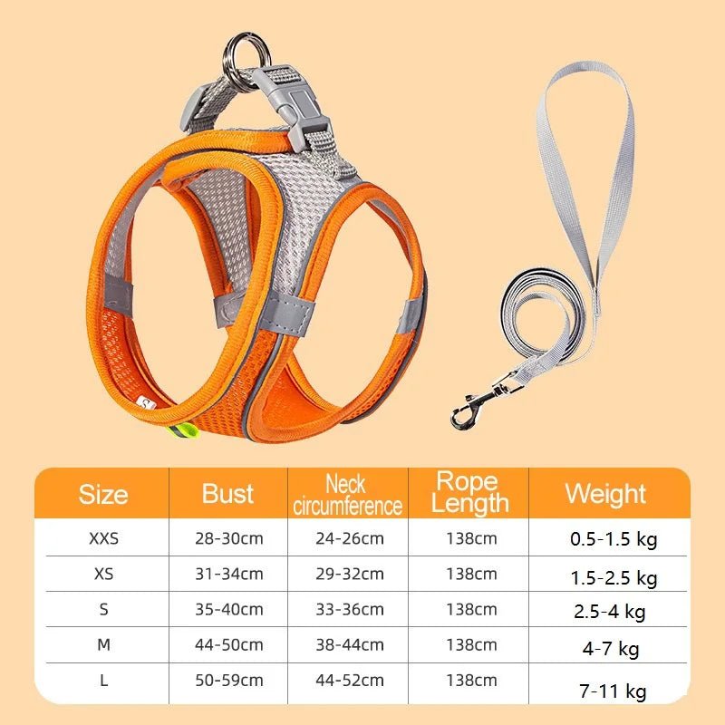 Harnais chien curli dimensions orange 