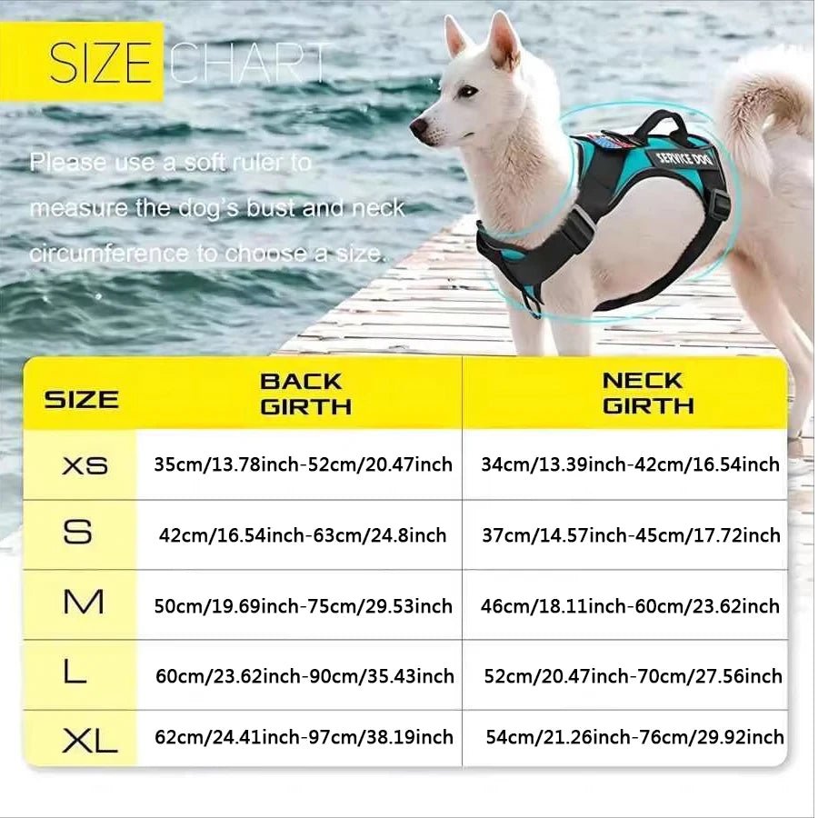 Harnais chien d assistance dimensions 
