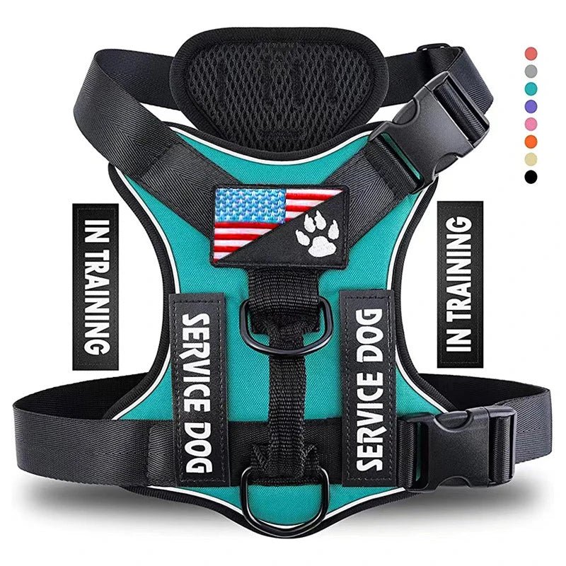 Harnais chien d assistance bleu turquoise 
