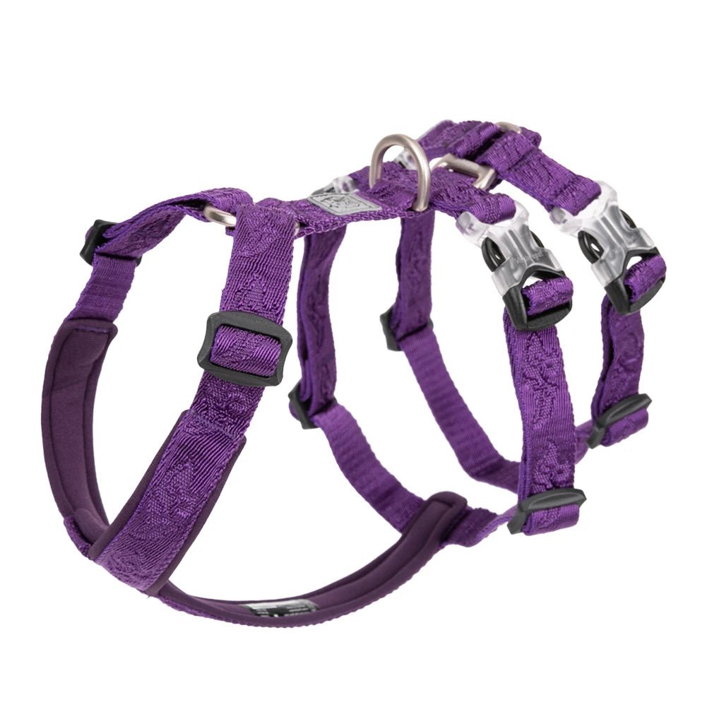 Harnais chien de traineau Violet