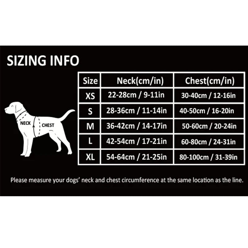Harnais chien en t dimensions 