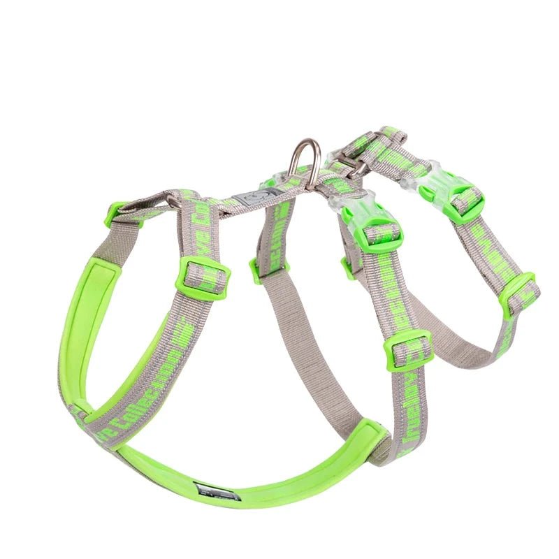 Harnais chien en t gris et fluo